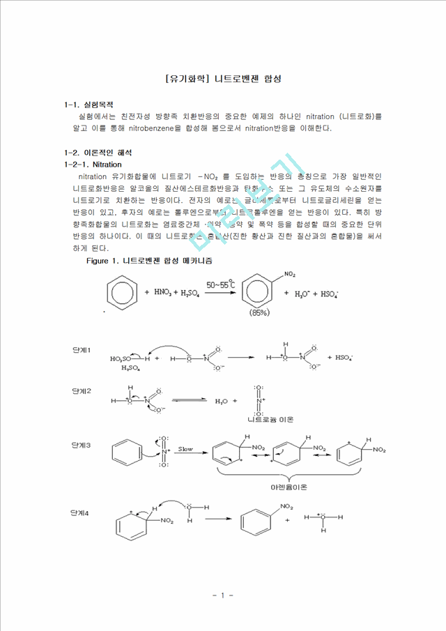 [자연과학][유기화학] 니트로벤젠 합성   (1 )